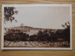 Le Château Vue Générale (vierge) - Chateauneuf Du Pape