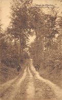 MONT DE L'ENCLUS - La Route Vers La Ferme Du Christ - Kluisbergen