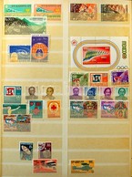 ** INDONESIA 1948-1978. Gy?jtemény Többletpéldányokkal Berakóban / Collection With Duplicates In Stockbook - Sonstige & Ohne Zuordnung