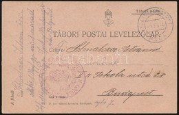 1916 Tábori Posta Levelez?lap / Field Postcard M. Kir. 1. Népfelkel? Gyalog Ezred 1. Század + 'EP PEJA' - Altri & Non Classificati