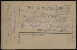 1918 Tábori Posta Levelez?lap  'M.kir. Budapesti 1. Honvéd Gyalogezred' + 'TP 417 B' - Andere & Zonder Classificatie