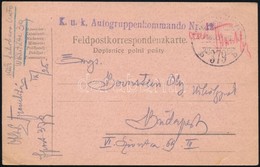 1918 Tábori Posta Levelez?lap 'K.u.k. Autogruppenkommando Nr.42.' + 'TP 379 B' - Andere & Zonder Classificatie