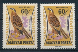 ** 1962 Ragadozó Madarak 60f ,,MÁGYAR' + Támpéldány - Altri & Non Classificati