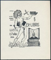 Schorr Tibor (?-?): Lustig István Erotikus, Jogi Témájú Ex Libris. Klisé, Papír, Jelzett A Klisén, 12x10 Cm - Altri & Non Classificati