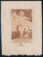 Soder Jelzéssel: Ex Libris Tilda Roesch, Rézkarc, Papír, Jelzett A Dúcon, 11,5×8 Cm - Andere & Zonder Classificatie