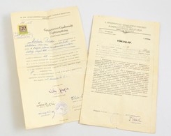 1923 Magyarországi Gyógyszerészek Numerus Clausus Bizottságának Okmánya + Gyógyszerész Gyakornoki Végbizonyítvány. - Sonstige & Ohne Zuordnung