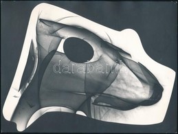 Cca 1975 Fotogram, Jelzés Nélküli Vintage Fotóm?vészeti Alkotás Kotnyek Antal (1921-1990) Budapesti Fotóriporter Hagyaté - Other & Unclassified