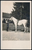 1930 Tarcs (Kisbér), Seregélyes Ló, Fotólap, 14x9 Cm - Altri & Non Classificati