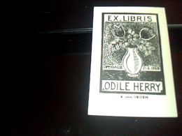 Ex Libris Odile Herry Copenhague Le 21-5-1959 Intitulé Bois De Fil - Bookplates