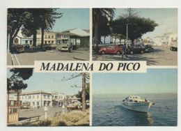 ILHA DO PICO - Madalena Do Pico  (2 Scans) - Açores