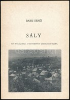 Barsi Ern?: Sály. Egy Bükkalji Falu A Hagyományos Gazdálkodás Idején. A Miskolci Herman Ottó Múzeum Néprajzi Kiadványai  - Ohne Zuordnung