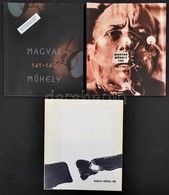 1997-2008 Magyar M?hely M?vészeti Folyóirat 3 Száma: Magyar M?hely 36. évf. 105. Sz., Magyar M?hely 46. évf. 141-142. Sz - Non Classificati