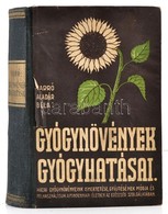 Varró Aladár Béla: Gyógynövények Gyógyhatásai. Növényi Gyógyszerek. El?szóval Ellátta: Dr. Bucsányi Gyula. Hajnal László - Ohne Zuordnung