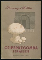 Bessenyei Zoltán: Csiperkegomba Termelése. Bp., 1958, Mez?gazdasági Kiadó. Kiadói Papírkötés, Kissé Kopottas állapotban. - Non Classés