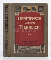 Dr. W. Oels: Der Mensch Und Das Tierreich. Eine Naturkunde Für Schule Und Haus. Druck Und Verlag Von Friedrich Vieweg Un - Non Classificati