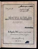 Dr. Gyulai Pál (11826-1909): Báró Jósika Miklós Regényei. Gyula Pál Egyetemi El?adásai Jósika Miklós Regényeir?l. 1894-9 - Zonder Classificatie