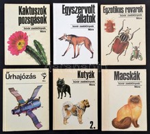 Búvár Zsebkönyvek 6 Kötete. Bp., 1980-1989, Móra. Kiadói Kartonált Papírkötés, - Ohne Zuordnung