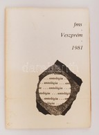 Mányoki Endre(szerk.): Veszprém. Antológia 1981. Veszprém Megyei Tanács M?vel?dési Osztálya. Kiadói Papírkötés, Képekkel - Ohne Zuordnung