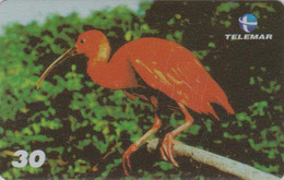 Télécarte BRESIL - Telemar - ANIMAL - OISEAU IBIS ROUGE - BIRD BRAZIL BRASIL Phonecard - VOGEL Telefonkarte - 4377 - Brasilien