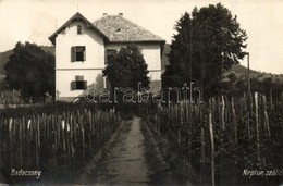 T2 1929 Badacsony, Neptun Szálló, Sz?l?s Kert. Photo - Non Classificati