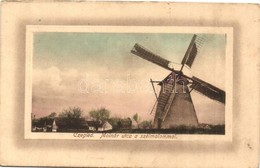 T2/T3 Cegléd, Molnár Utca A Szélmalommal. Sárik Gyula Kiadása / Windmill - Non Classificati