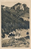 T2/T3 Mürzsteg, Jagdschloss / Hunting Castle (EB) - Non Classificati