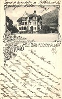 T2 Bad Reichenhall, Pension Und Villa Concordia. Art Nouveau, Floral - Non Classificati