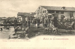T3 Constantinople, Istanbul; Groupe D'ouvriers Turcs Avec Des Chiens / Group Of Turkish Workers With Dogs (r) - Ohne Zuordnung