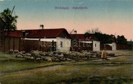 ** T2/T3 Birkanyáj / Hungarian Folklore, Sheep - Non Classificati