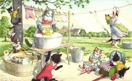 ** T2 Cat Women Washing Clothes. Max Künzli No. 4732. - Modern Postcard - Zonder Classificatie