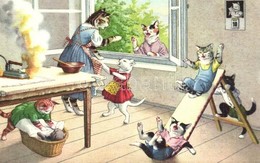 ** T2 Cat Family. Max Künzli No. 4733. - Modern Postcard - Non Classificati