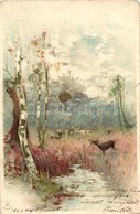 T4 1899 Deer In The Marsh, Winkler & Schorn Sonnenschein-Postkarte Serie VI., Golden Decoration Litho (b) - Ohne Zuordnung