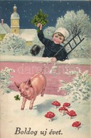 T1/T2 New Year, Pig, Mushroom, Chimney-sweep - Ohne Zuordnung