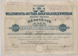 Budapest 1912. 'Welleminsky és Gottlieb 'Adria' Halkonzervgyárak Részvénytársaság' Névre Szóló Részvénye 400K-ról, Szára - Ohne Zuordnung