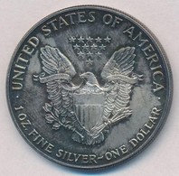 Amerikai Egyesült Államok 1987. 1$ Ag 'Amerikai Sas' (1oz/0.999) T:1-,2 Patina
USA 1987. 1 Dollar Ag 'American Eagle' (1 - Zonder Classificatie