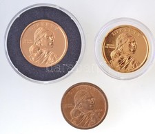 Amerikai Egyesült Államok 2000-2012. 1$ 'Sacagawea' (3xklf) Ebb?l 2db Aranyozva T:1,2
USA 2004-2012. 1 Dollar 'Sacagawea - Zonder Classificatie
