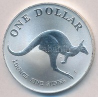 Ausztrália 1993C 1$ Ag 'Kenguru' (1oz/0.999) T:BU
Australia 1993C 1 Dollar Ag 'Kangaroo' (1oz/0.999) C:BU
Krause KM#211. - Zonder Classificatie