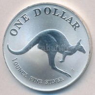 Ausztrália 1993C 1$ Ag 'Kenguru' (1oz/0.999) T:BU
Australia 1993C 1 Dollar Ag 'Kangaroo' (1oz/0.999) C:BU
Krause KM#211. - Unclassified