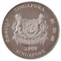 Szingapúr 2000. 10$ Cu-Ni 'Sárkány éve' Lezárt Kapszulában, Eredeti, Sérült Tokban T:PP
Singapore 2000. 10 Dollars Cu-Ni - Ohne Zuordnung