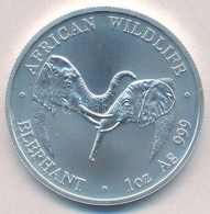 Zambia 2002. 5000K Ag 'Afrikai Vadak - Elefántok' T:BU
Zambia 2002. 5000 Kwacha Ag 'African Wildlife - Elephants' C:BU
K - Ohne Zuordnung