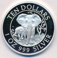 Zimbabwe 1996. 10$ Ag 'Elefánt / Viktória-vízesés Híd' T:PP
Zimbabwe 1996. 10 Dollars Ag 'Elephant / Victoria Falls Brid - Zonder Classificatie