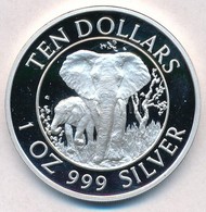 Zimbabwe 1996. 10$ Ag 'Elefánt / Viktória-vízesés Híd' T:PP
Zimbabwe 1996. 10 Dollars Ag 'Elephant / Victoria Falls Brid - Ohne Zuordnung