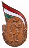 ~1950-1960. 'A Természetkutatás Ifjú Mestere II.' Zománcozott Br Jelvény (49x27mm) T:2 - Unclassified