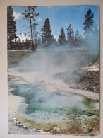 YELLOSTONE NATIONAL PARK / SEISMOGRAPH POOL - Yellowstone