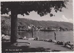 SUISSE,HELVETIA,SWISS,SWI TZERLAND,SVIZZERA,SCHWEIZ ,ZOUG,ZUG,QUAI,ARBRE,BORD DE L 'EAU - Zug