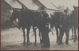 Petite Photo Montée Sur Carton/Cavaliers En Pied Avec Chevaux /Vers 1900-1915                   PHOTN352 - Guerre, Militaire