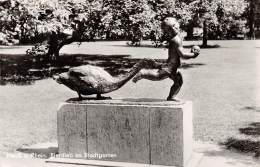 NEUSS A. Rhein - Eierdieb Im Stadtgarten - Neuss