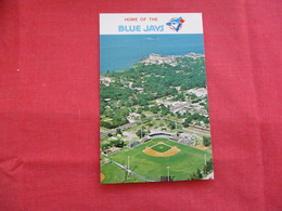Baseball  Home Of The Toronto Blue Jays  Dunedin  Florida --ref 2906 - Other
