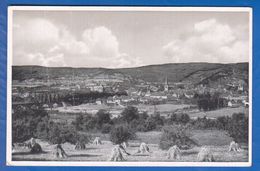 Deutschland; Lohr Am Main; Panorama - Lohr