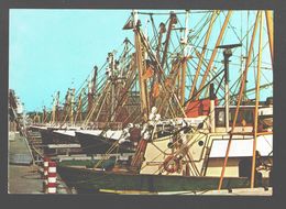 Den Helder - Vissersboten / Bateaux De Pêche - Den Helder